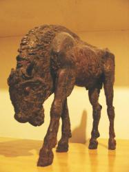 bison-bronze-7-ameliore.jpg